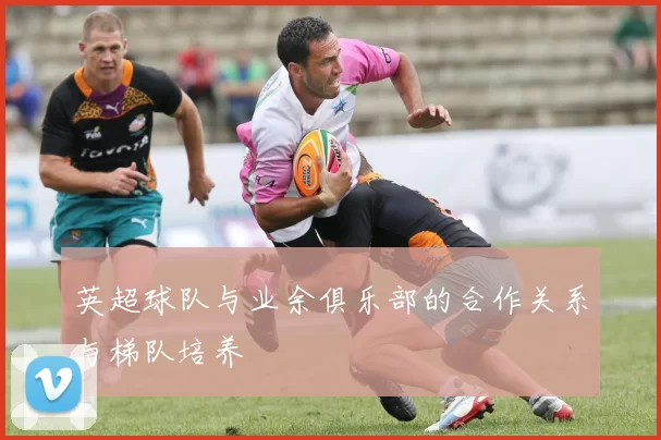 英超球队与业余俱乐部的合作关系与梯队培养