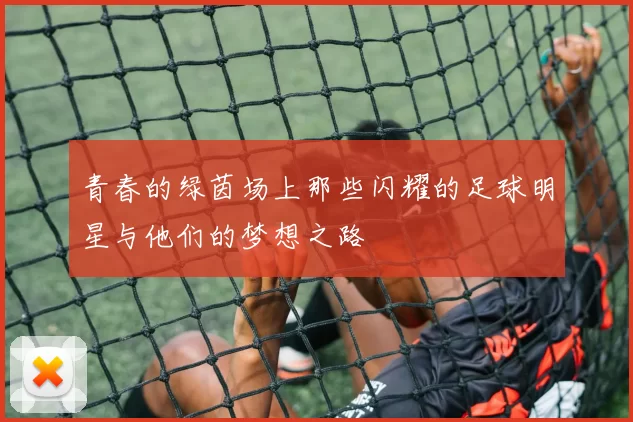 青春的绿茵场上那些闪耀的足球明星与他们的梦想之路