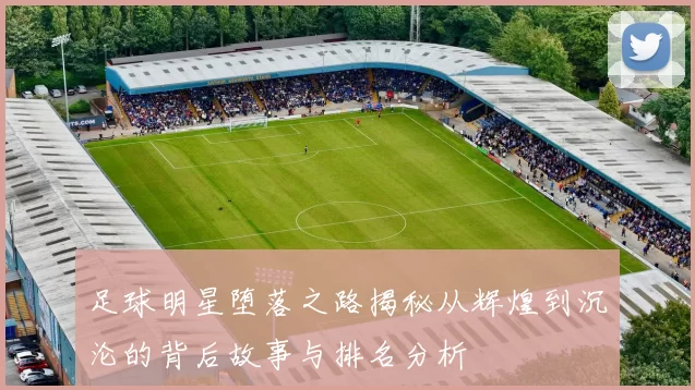 足球明星堕落之路揭秘从辉煌到沉沦的背后故事与排名分析