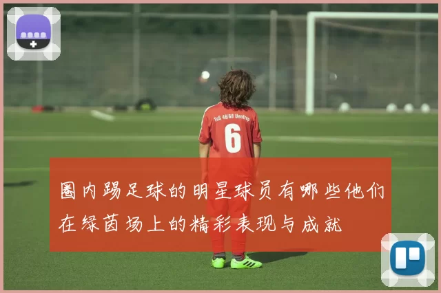 圈内踢足球的明星球员有哪些他们在绿茵场上的精彩表现与成就