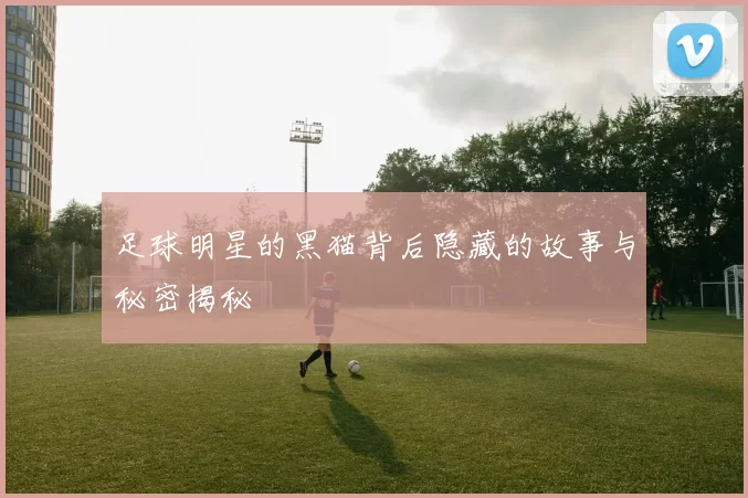 足球明星的黑猫背后隐藏的故事与秘密揭秘
