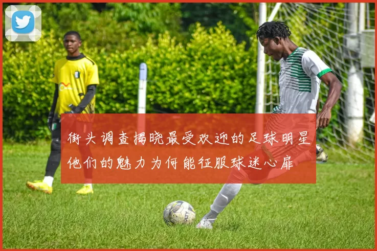 街头调查揭晓最受欢迎的足球明星他们的魅力为何能征服球迷心扉