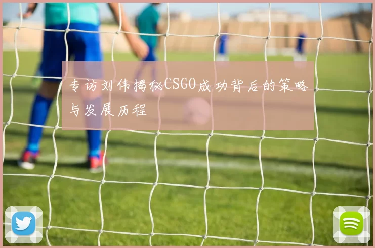 专访刘伟揭秘CSGO成功背后的策略与发展历程