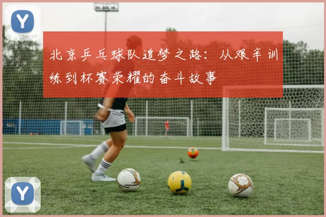 北京乒乓球队追梦之路：从艰辛训练到杯赛荣耀的奋斗故事