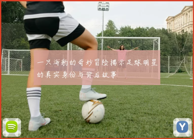一只海豹的奇妙冒险揭示足球明星的真实身份与背后故事