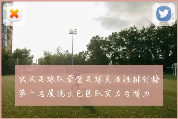 武汉足球队荣登足球灵活性排行榜第十名展现出色团队实力与潜力