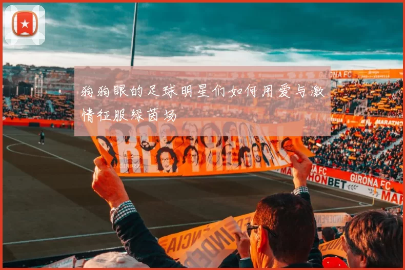 狗狗眼的足球明星们如何用爱与激情征服绿茵场