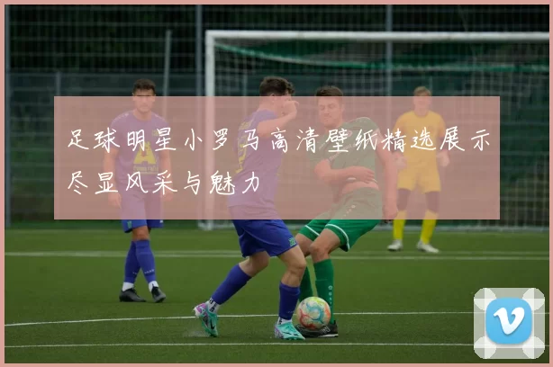 足球明星小罗马高清壁纸精选展示尽显风采与魅力