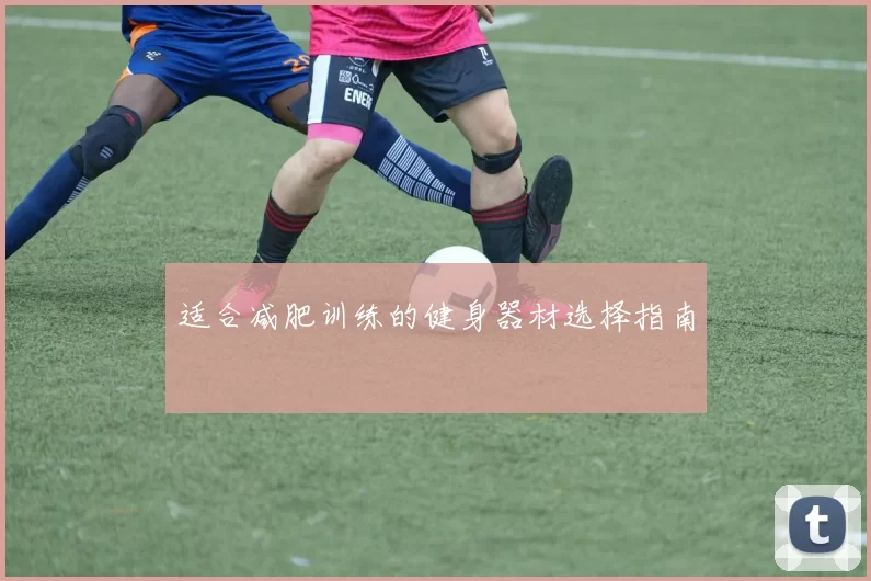 适合减肥训练的健身器材选择指南
