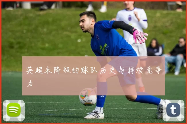 英超未降级的球队历史与持续竞争力