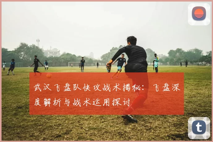 武汉飞盘队快攻战术揭秘：飞盘深度解析与战术运用探讨