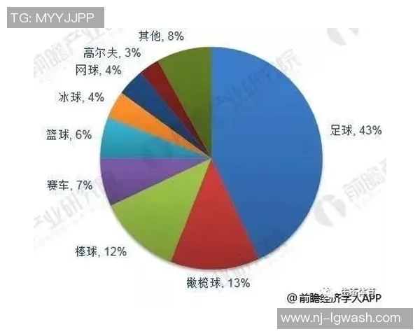上海足球队的个人能力分析与发展潜力探讨