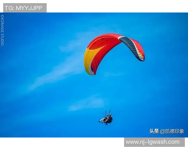 杭州极限运动队实力变革引发热议探索新高度与挑战的无限可能