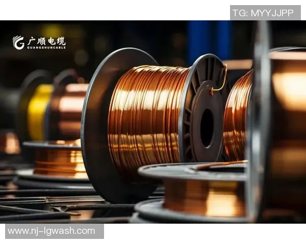 武汉排球队中路突破创新之路探秘与未来展望