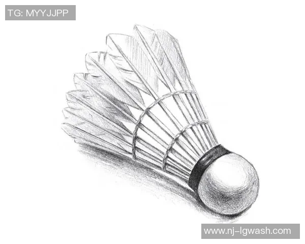 从零基础到羽毛球高手的全面提升指南与实用技巧分享