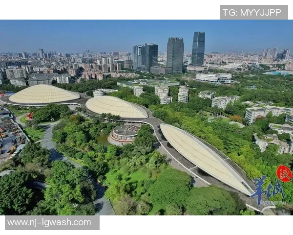 青衣运动场：打造城市活力中心，助力全民健身与体育文化融合发展